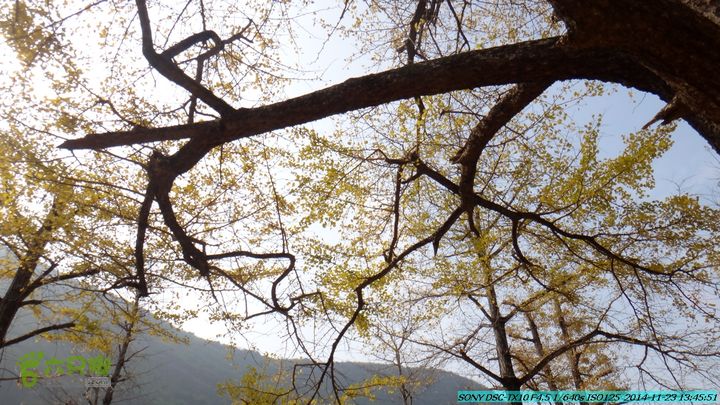 20141123-梯岭古道-报古塘-范家-董家-大兴坪DSC03785