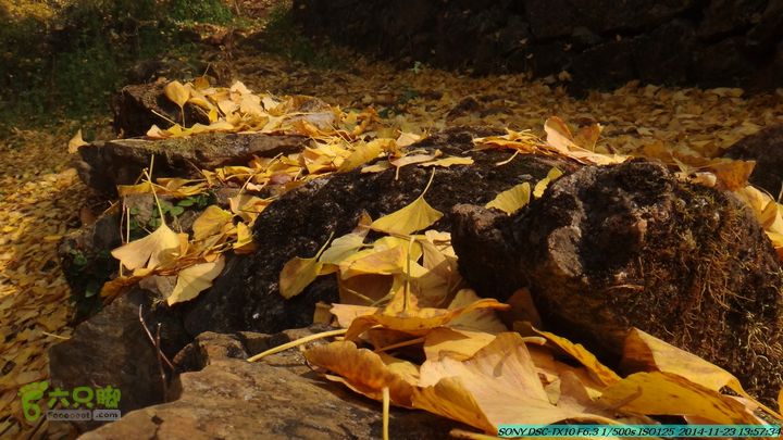 20141123-梯岭古道-报古塘-范家-董家-大兴坪DSC03792