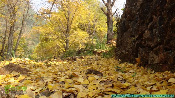 20141123-梯岭古道-报古塘-范家-董家-大兴坪DSC03796