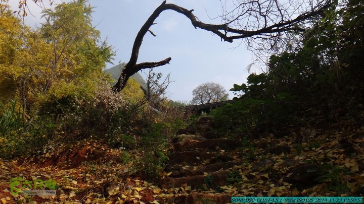 20141123-梯岭古道-报古塘-范家-董家-大兴坪DSC03798