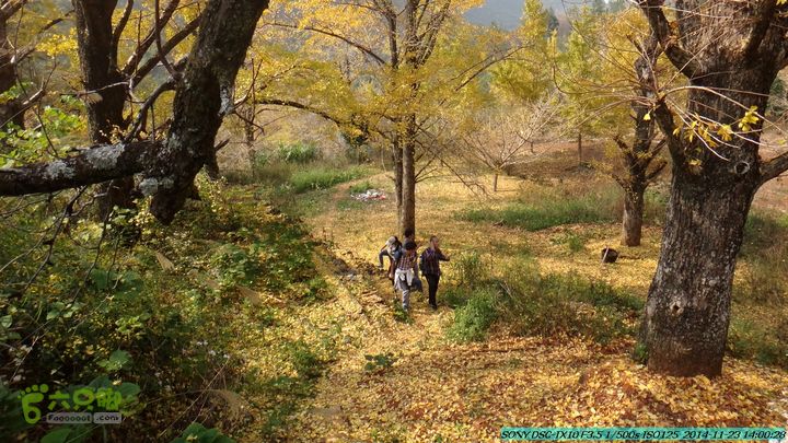 20141123-梯岭古道-报古塘-范家-董家-大兴坪DSC03800