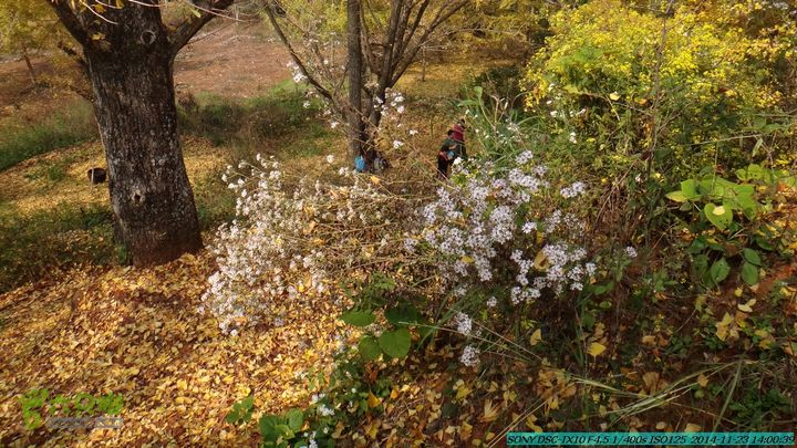 20141123-梯岭古道-报古塘-范家-董家-大兴坪DSC03801