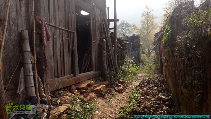 20141123-梯岭古道-报古塘-范家-董家-大兴坪DSC03804