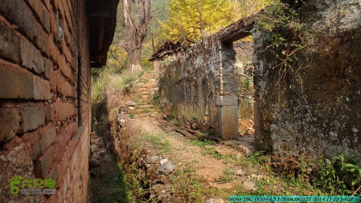20141123-梯岭古道-报古塘-范家-董家-大兴坪DSC03805