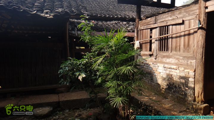 20141123-梯岭古道-报古塘-范家-董家-大兴坪DSC03811