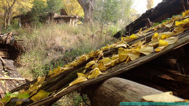 20141123-梯岭古道-报古塘-范家-董家-大兴坪DSC03813