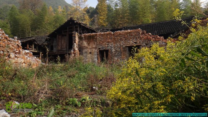 20141123-梯岭古道-报古塘-范家-董家-大兴坪DSC03814