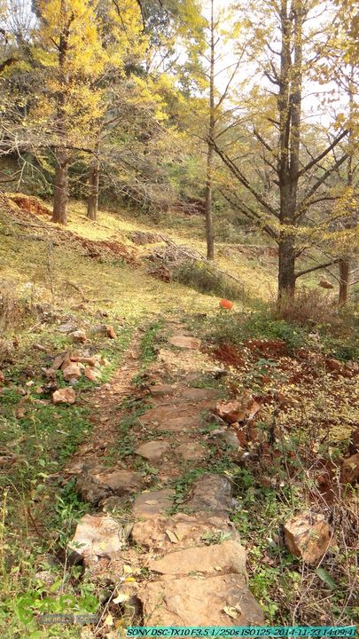 20141123-梯岭古道-报古塘-范家-董家-大兴坪DSC03819