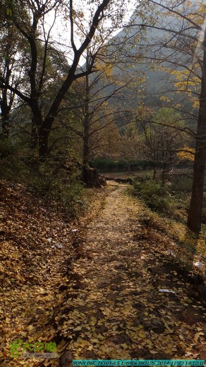 20141123-梯岭古道-报古塘-范家-董家-大兴坪DSC03824