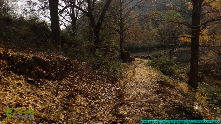 20141123-梯岭古道-报古塘-范家-董家-大兴坪DSC03825