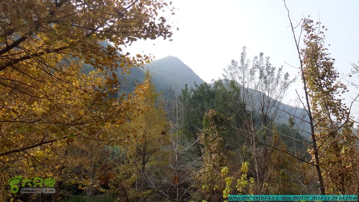 20141123-梯岭古道-报古塘-范家-董家-大兴坪DSC03826