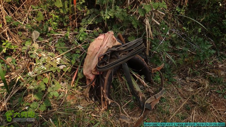 20141123-梯岭古道-报古塘-范家-董家-大兴坪DSC03827