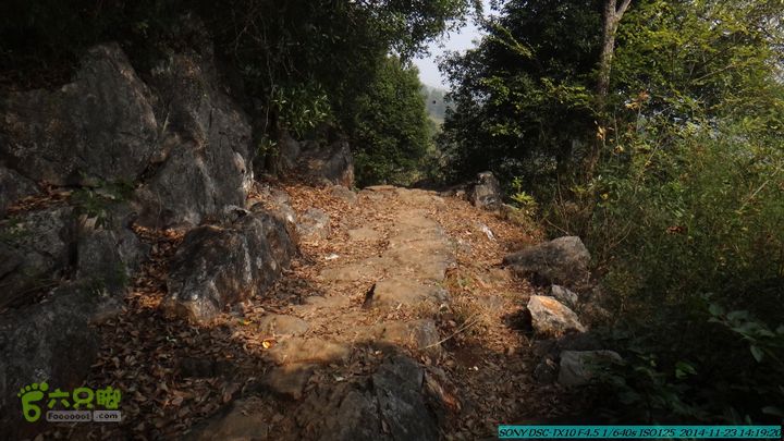 20141123-梯岭古道-报古塘-范家-董家-大兴坪DSC03828