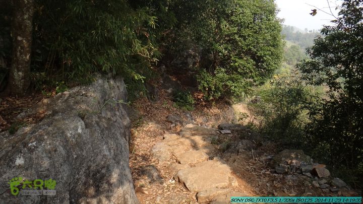 20141123-梯岭古道-报古塘-范家-董家-大兴坪DSC03829