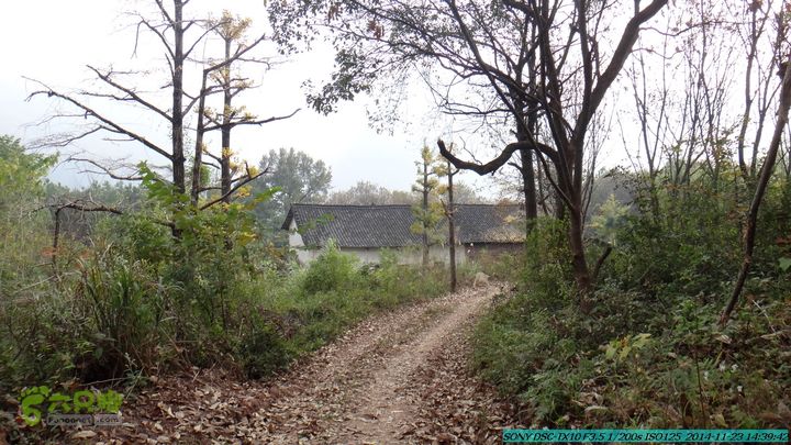20141123-梯岭古道-报古塘-范家-董家-大兴坪DSC03838
