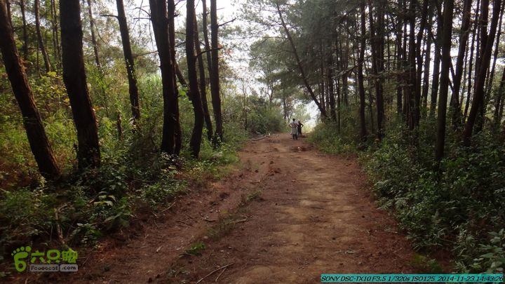 20141123-梯岭古道-报古塘-范家-董家-大兴坪DSC03843