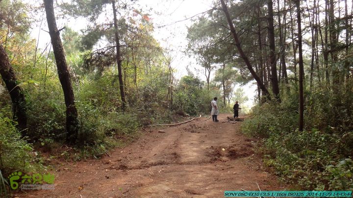 20141123-梯岭古道-报古塘-范家-董家-大兴坪DSC03844