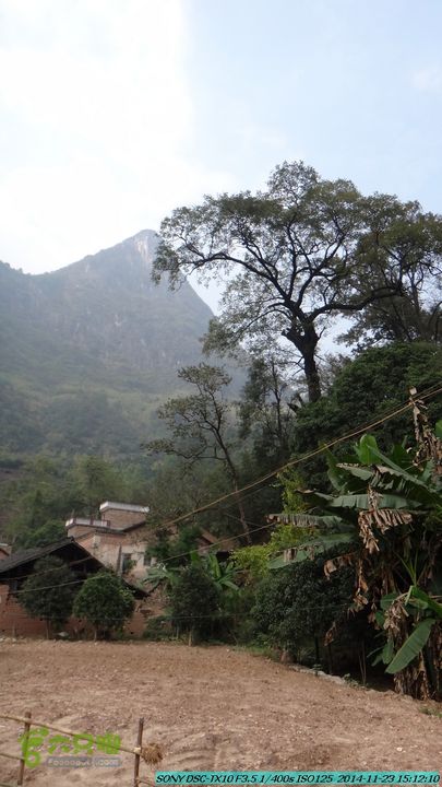 20141123-梯岭古道-报古塘-范家-董家-大兴坪DSC03851