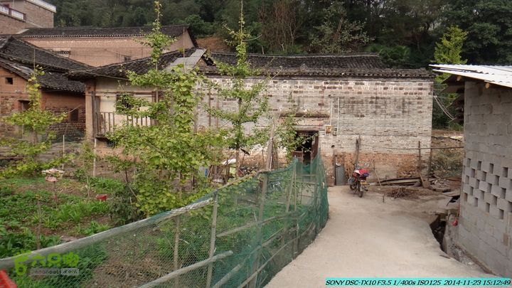 20141123-梯岭古道-报古塘-范家-董家-大兴坪DSC03853