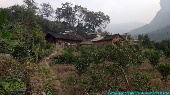 20141123-梯岭古道-报古塘-范家-董家-大兴坪DSC03856
