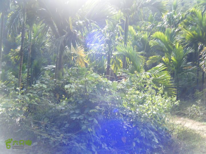 14.11.27五指山到屯昌DSCF0728