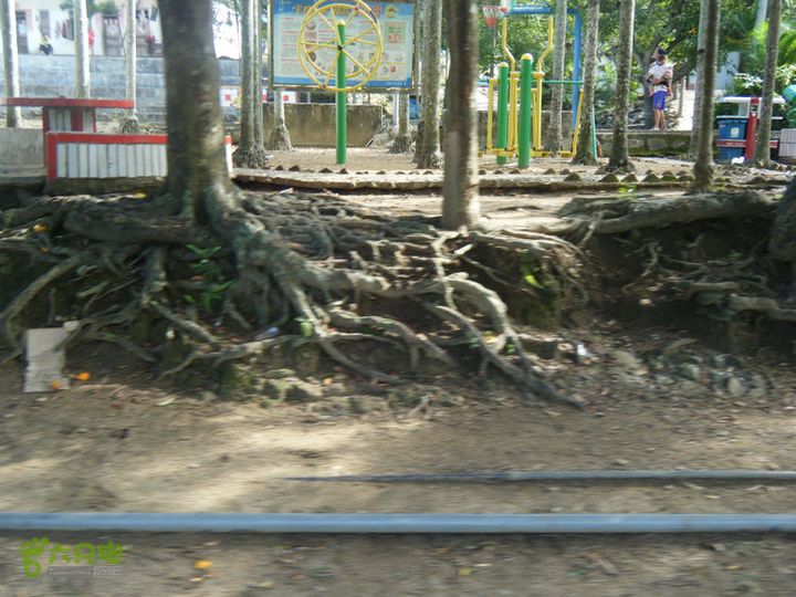 14.11.27五指山到屯昌DSCF0731