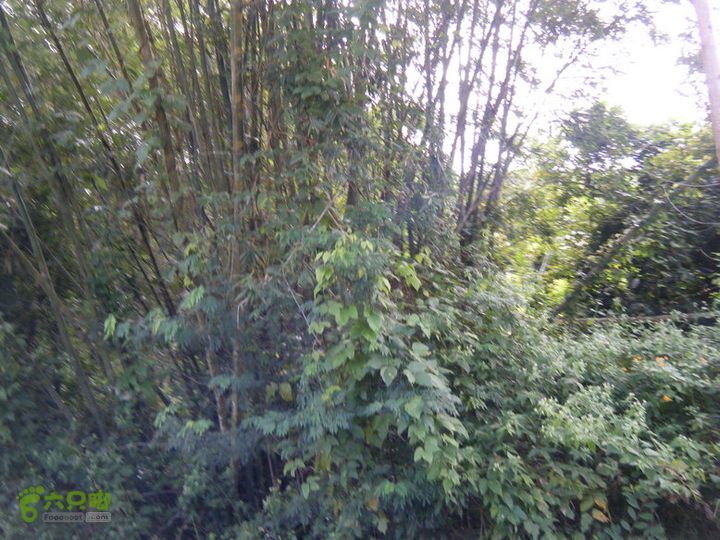 14.11.27五指山到屯昌DSCF0755