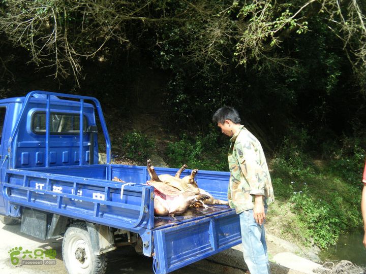 14.11.27五指山到屯昌DSCF0762