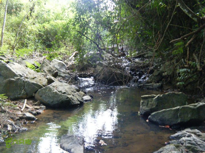 14.11.27五指山到屯昌DSCF0774