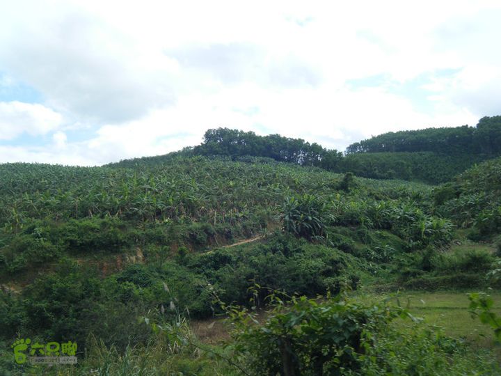 14.11.27五指山到屯昌DSCF0793