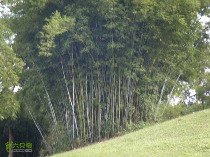 14.11.27五指山到屯昌DSCF0813