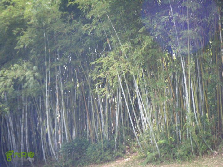 14.11.27五指山到屯昌DSCF0814