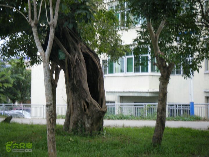 14.11.27五指山到屯昌DSCF0816