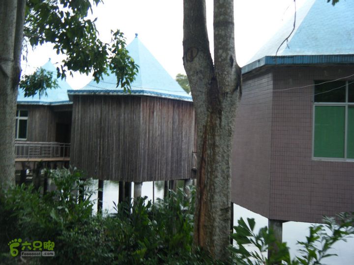 14.11.27五指山到屯昌DSCF0829