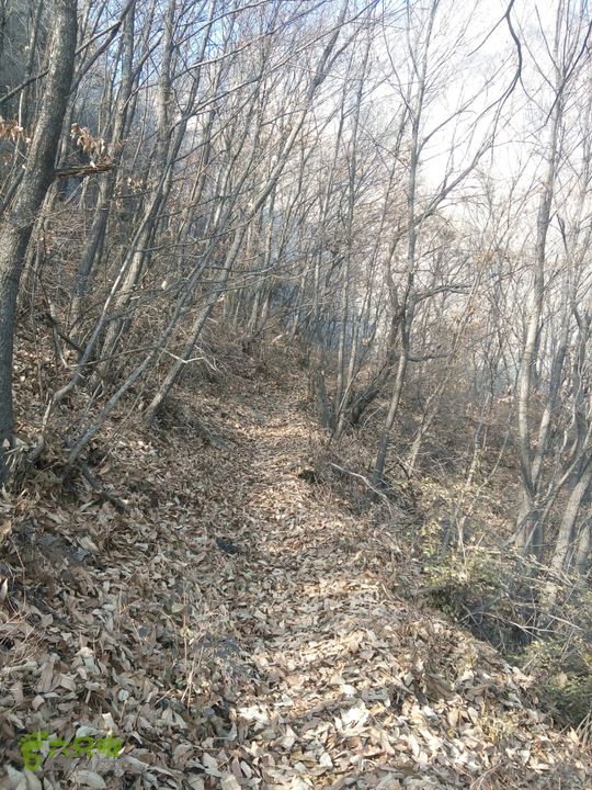 十寨门-将军梯-东驼腰-大房-对头寺-上午峪-紫霞关
2014-12-06 14:16:25