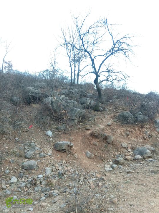 十寨门-将军梯-东驼腰-大房-对头寺-上午峪-紫霞关
2014-12-06 16:11:07