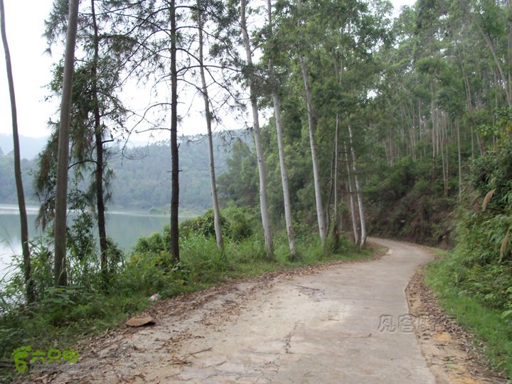 顺德大良至四堡水库100_6013