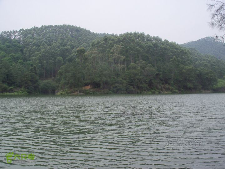 顺德大良至四堡水库100_6017