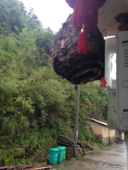 2014.5.23-35 浙江丽水千八 Day3IMG_6215