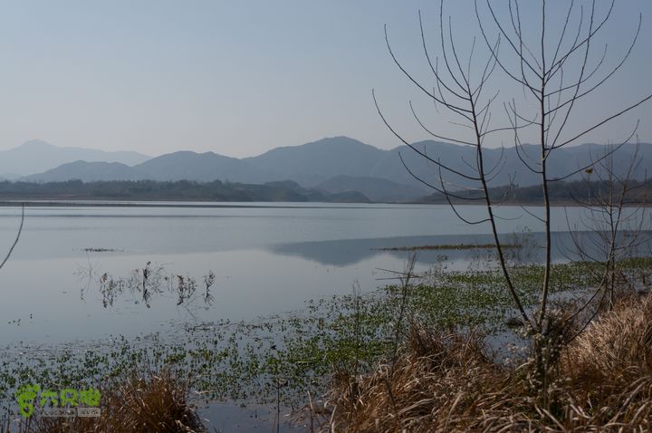 南湾湖，三基友，快乐行，64+2nanwanhu-66