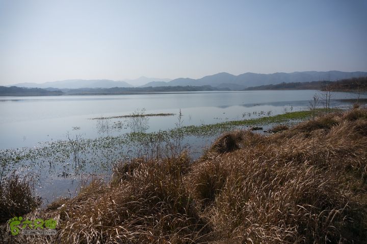 南湾湖，三基友，快乐行，64+2nanwanhu-72