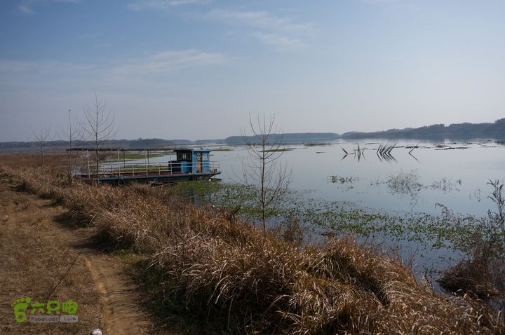 南湾湖，三基友，快乐行，64+2nanwanhu-74