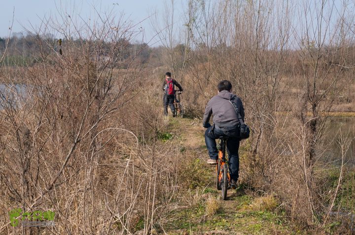 南湾湖，三基友，快乐行，64+2nanwanhu-76