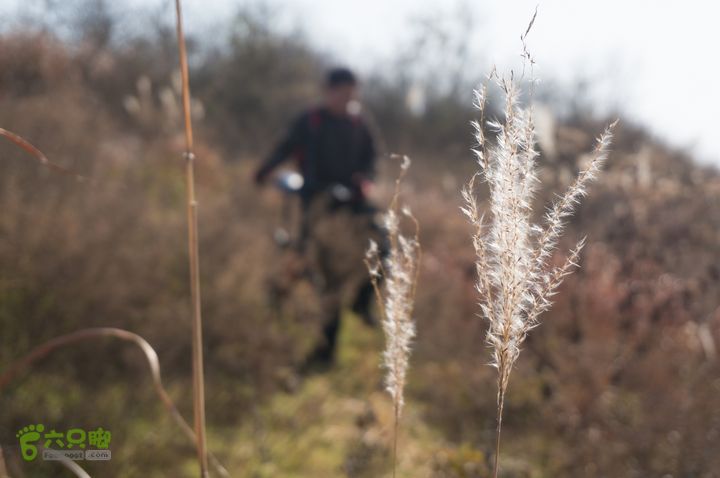 南湾湖，三基友，快乐行，64+2nanwanhu-82
