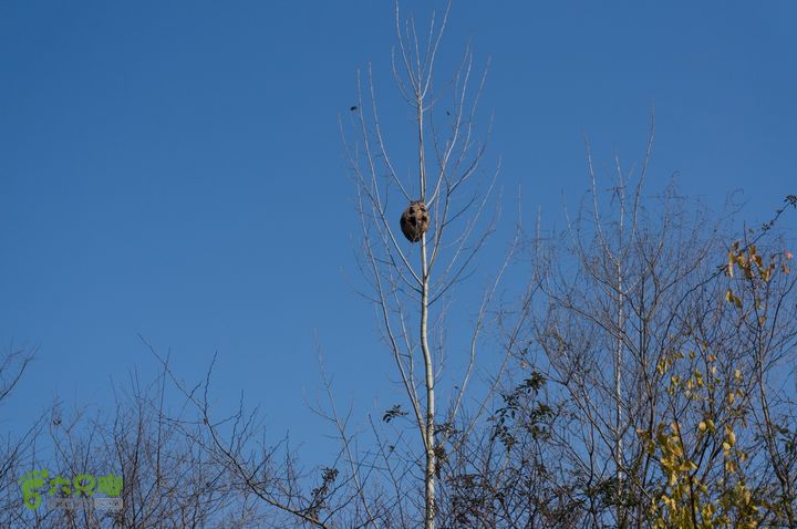 南湾湖，三基友，快乐行，64+2nanwanhu-85