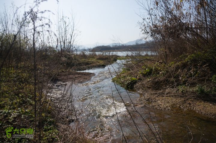 南湾湖，三基友，快乐行，64+2nanwanhu-92