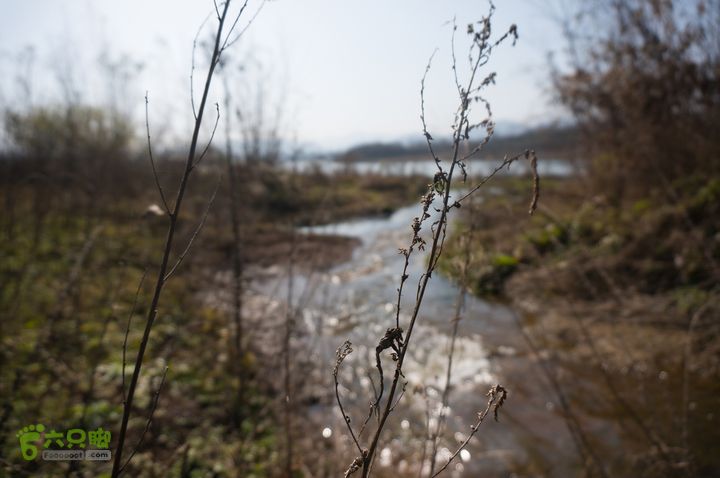南湾湖，三基友，快乐行，64+2nanwanhu-93