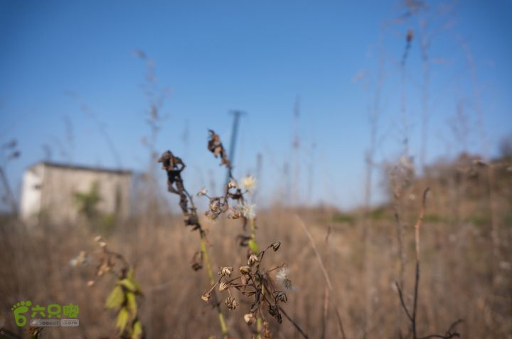 南湾湖，三基友，快乐行，64+2nanwanhu-95