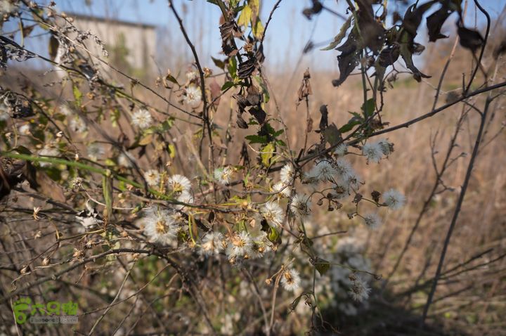 南湾湖，三基友，快乐行，64+2nanwanhu-96