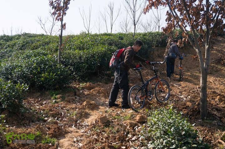 南湾湖，三基友，快乐行，64+2nanwanhu-97